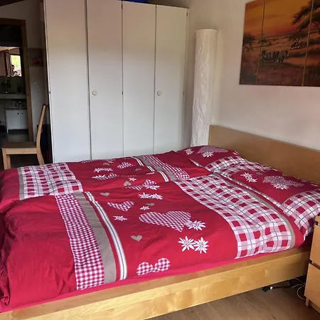 Chez-nous Appartement-fewo- Dusche Oder Bad- Wc 6-bettwohnung By Interhome Gstaad